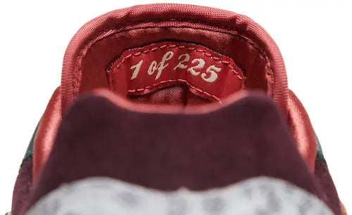 Nike Air Max 1 '87 Luxe University of Oregon, patike, slika 4